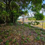 listing image thumbnail with ID 114495