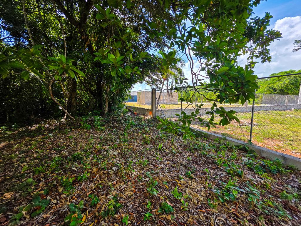 listing image with ID 114495
