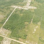 listing image thumbnail with ID 114541