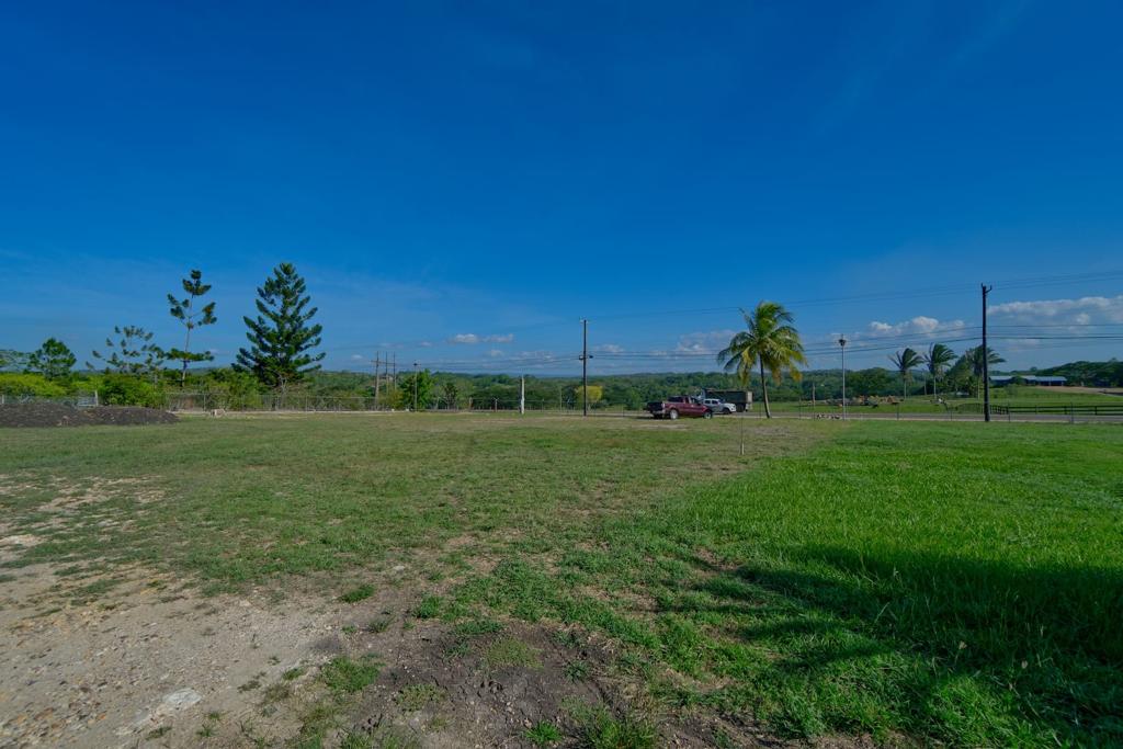 listing image with ID 114742