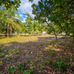 listing image thumbnail with ID 114489