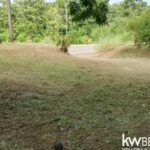 listing image thumbnail with ID 114213