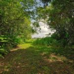 listing image thumbnail with ID 114332