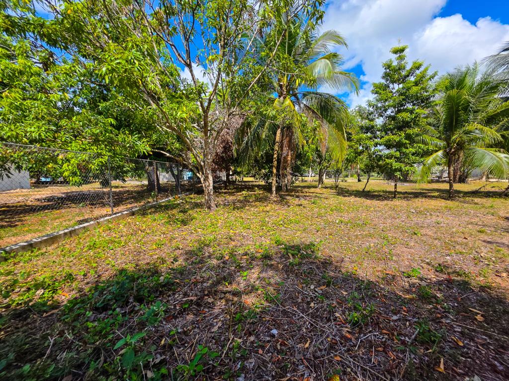 listing image with ID 114488