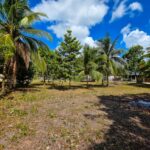 listing image thumbnail with ID 114491