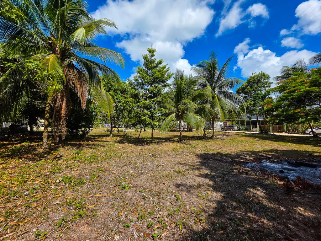 listing image with ID 114491