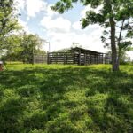 listing image thumbnail with ID 114335