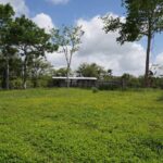 listing image thumbnail with ID 114344