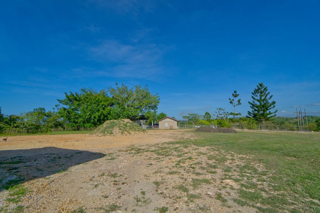 listing image with ID 114746