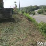 listing image thumbnail with ID 114218