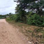listing image thumbnail with ID 114405