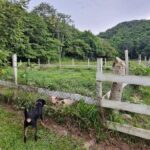 listing image thumbnail with ID 114570