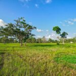 listing image thumbnail with ID 114463