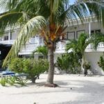 listing image thumbnail with ID 114894
