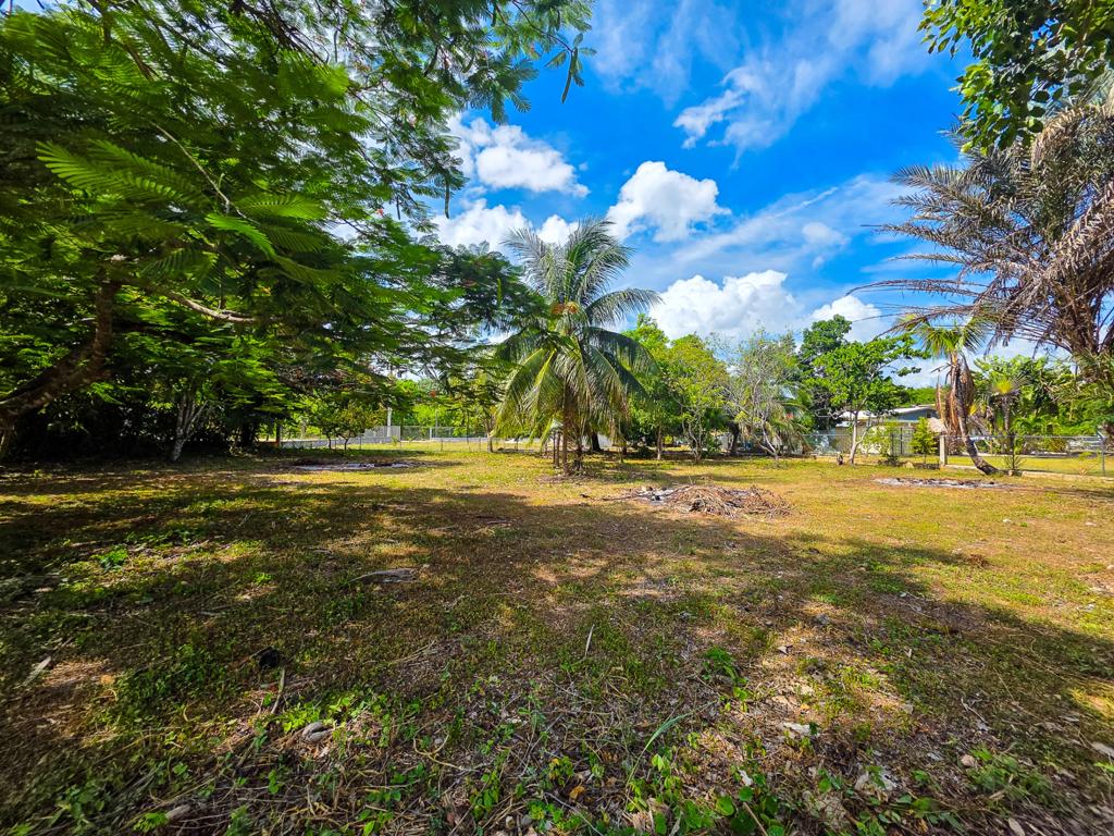 listing image with ID 114494