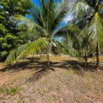 listing image thumbnail with ID 114490