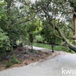 listing image thumbnail with ID 114581