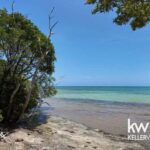listing image thumbnail with ID 114514
