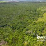 listing image thumbnail with ID 115182