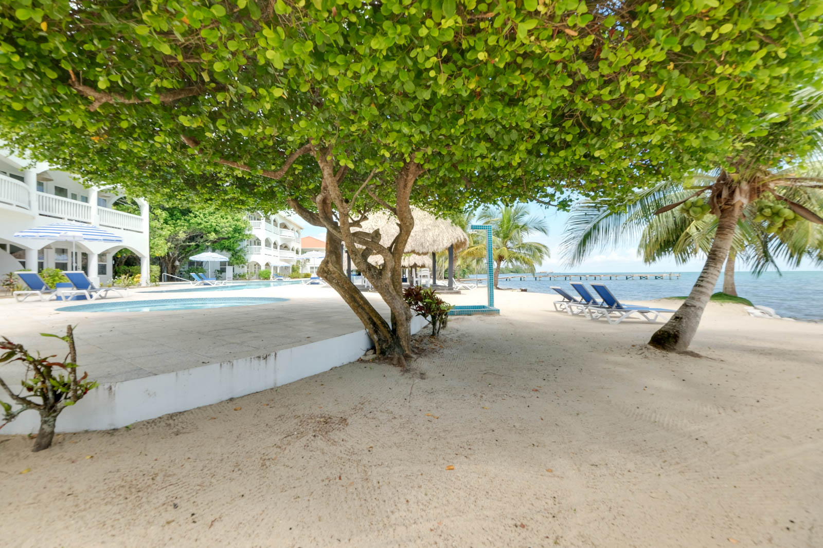 listing image with ID 115605
