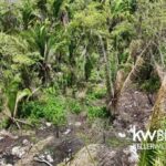 listing image thumbnail with ID 115381