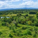 listing image thumbnail with ID 115317