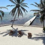 listing image thumbnail with ID 115491