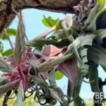 listing image thumbnail with ID 115383