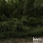 listing image thumbnail with ID 115103