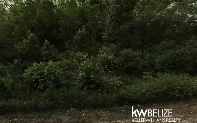 listing image with ID 115103
