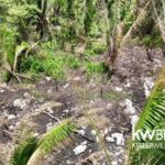 listing image thumbnail with ID 115382