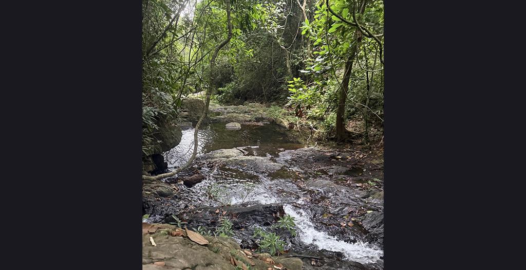 listing image with ID 115222