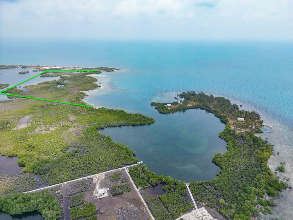 listing image with ID 115262