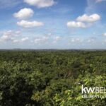 listing image thumbnail with ID 115479