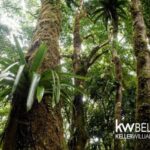 listing image thumbnail with ID 115487