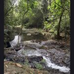 listing image thumbnail with ID 115221