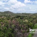 listing image thumbnail with ID 115377