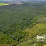 listing image thumbnail with ID 115181