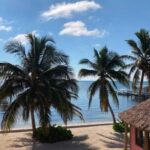 listing image thumbnail with ID 115492