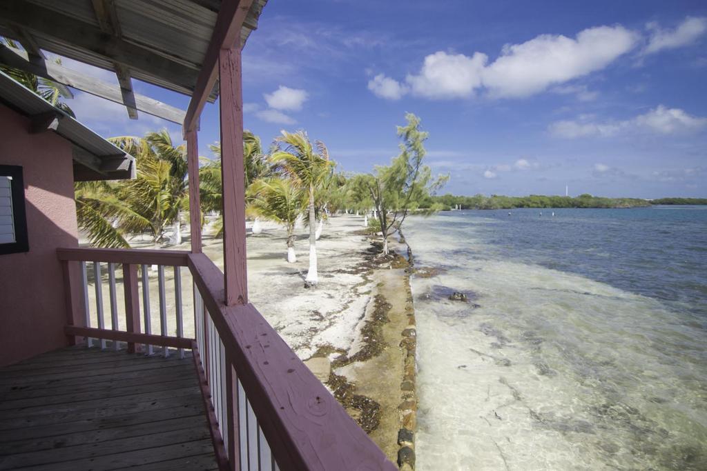 listing image with ID 115457