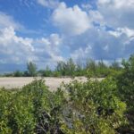 listing image thumbnail with ID 115261