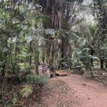 listing image thumbnail with ID 115220