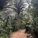 listing image thumbnail with ID 115217