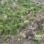 listing image thumbnail with ID 115378
