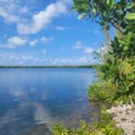 listing image thumbnail with ID 115260