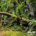 listing image thumbnail with ID 115483
