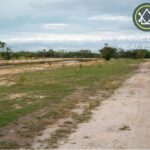 listing image thumbnail with ID 115330